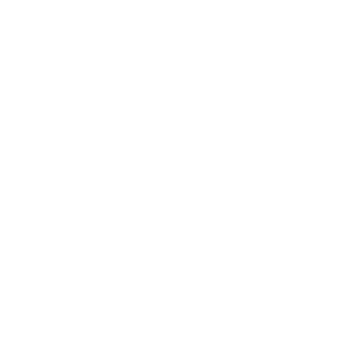 demetrius brunel logo photographe versailles