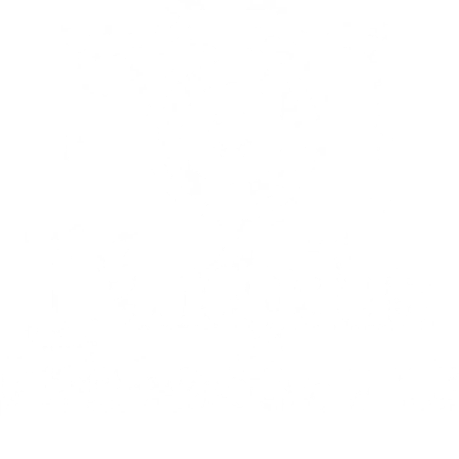 logo blanc temporaire