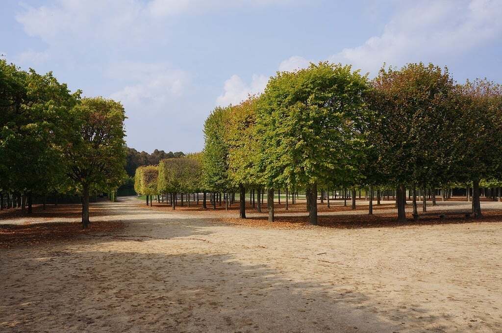 photographie versailles bosquet reine
